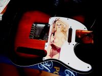 Telecaster Pin Up pickguard Bayern - Lohr (Main) Vorschau