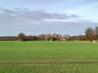 5,8 ha Ackerflächen in Holthausen zu verkaufen Nordrhein-Westfalen - Velen Vorschau