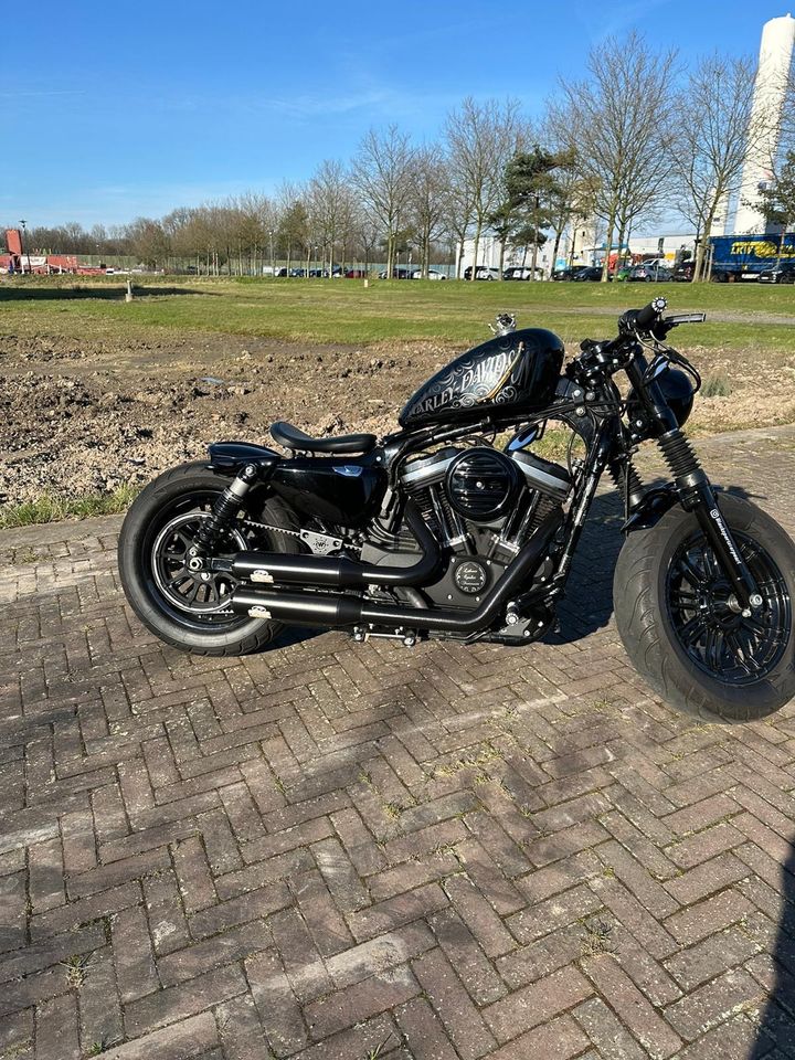 Harley Davidson Sportster 48 XL1200 in Herne