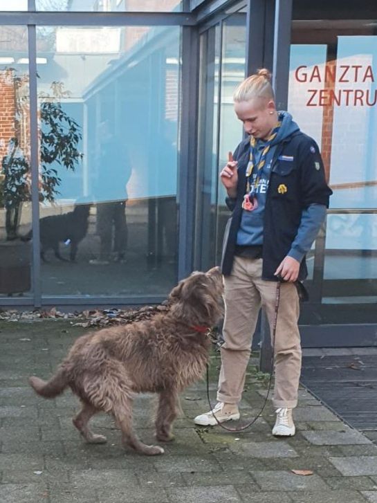 Gassi geh Service in Großhansdorf und Umgebung in Großhansdorf