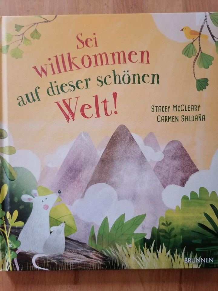 Kinderbücher Wimmelbuch Janosch James Krüss gute Nacht Jim Knopf in Alfdorf