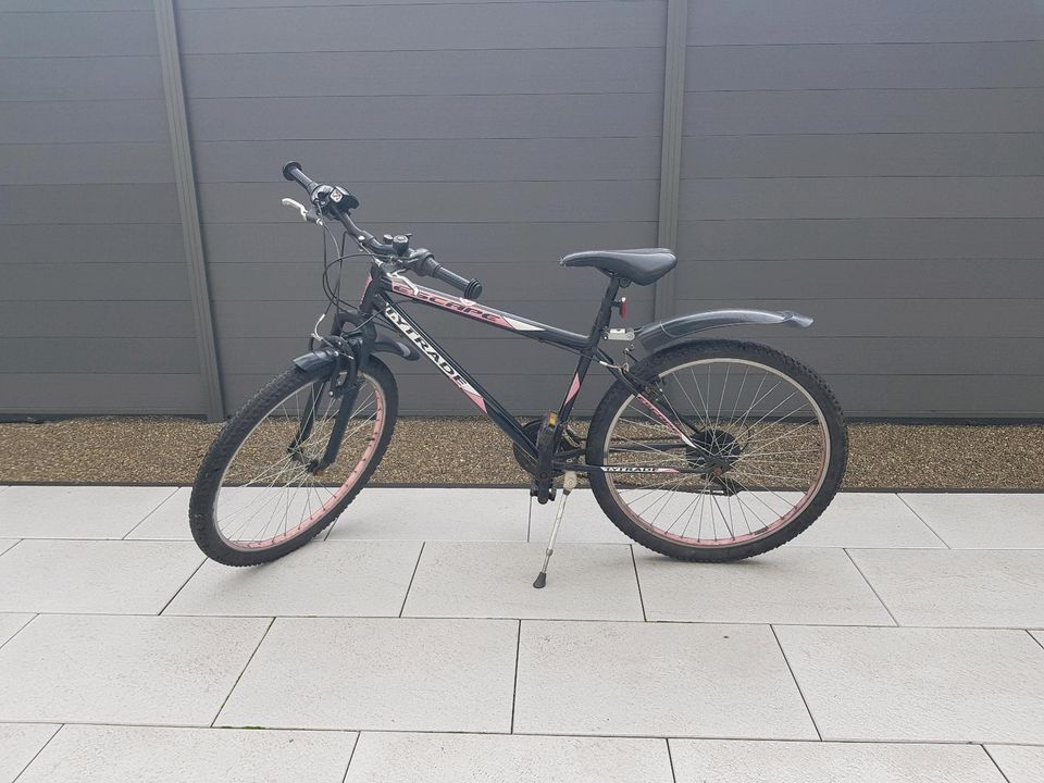 Mädchen Fahrrad 26 Zoll in Munster