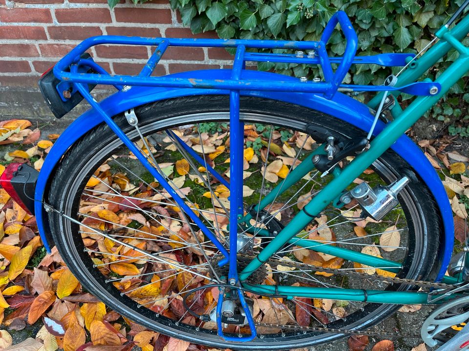 Öko Kult Fahrrad Greenpeace Herren 80er in Hannover