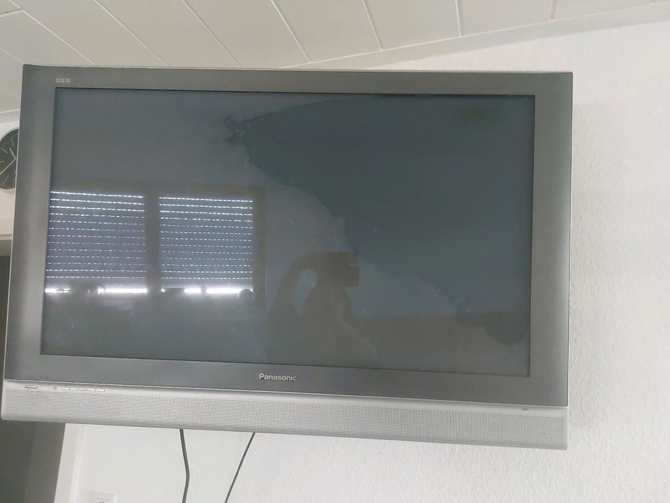 Fernseher  Panasonic in Hochdorf-Assenheim