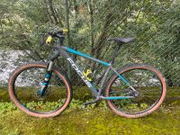 Focus Black Forest Pro 29 - Hardtail - MTB Bayern - Immenstadt Vorschau