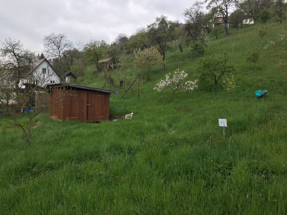 Gartengrundstueck mit Streuobsthang in Oppenweiler in Backnang