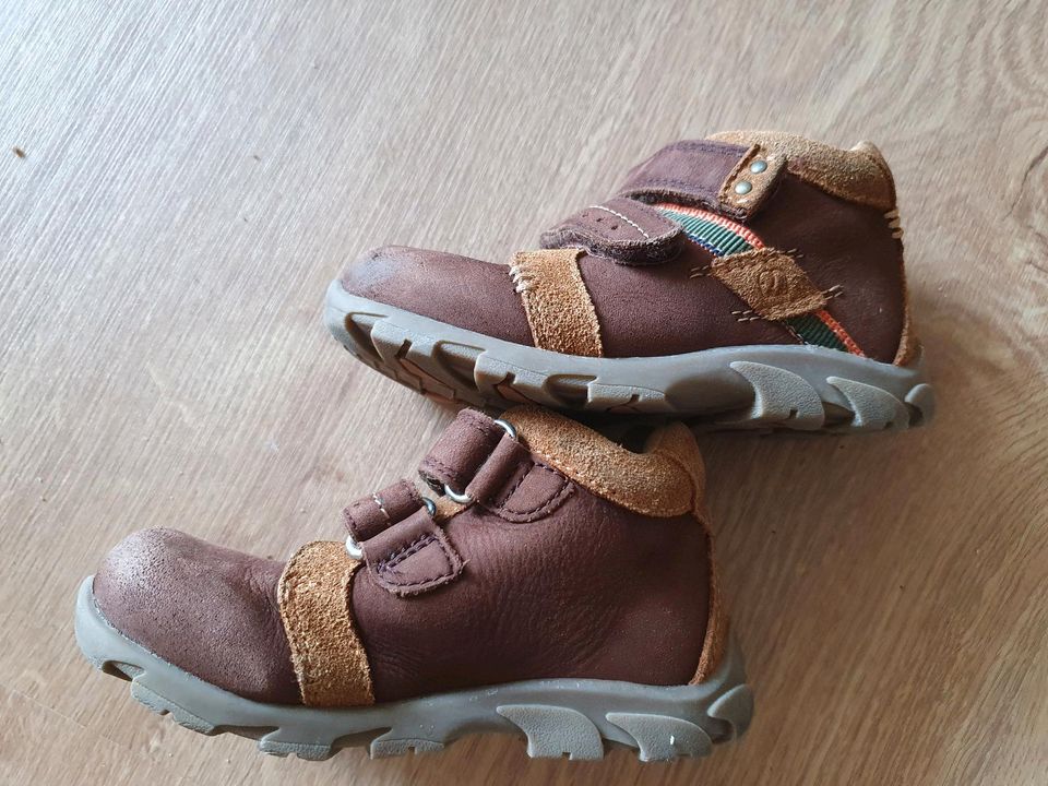 Elefanten Schuhe Knöchelschuhe Gr. 22 Jungen in Kesselsdorf