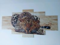 Africa Leopard 200 x 100 cm 5 Teilen Nordrhein-Westfalen - Swisttal Vorschau