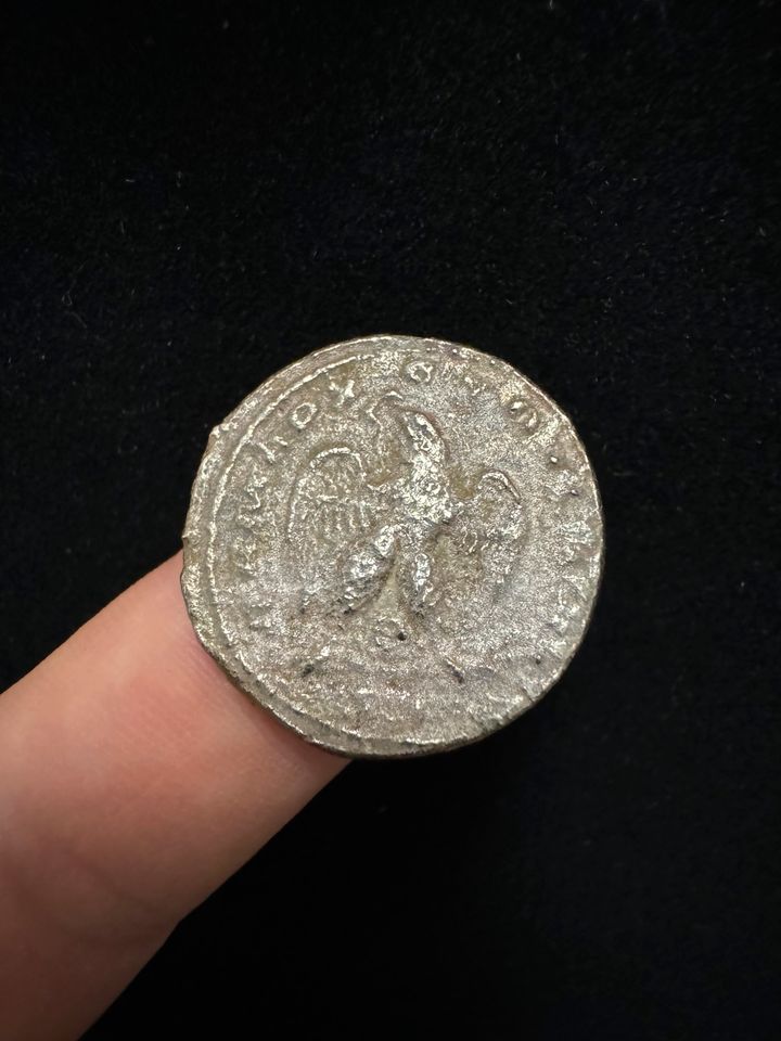 Münzen Tetradrachme in Meerbusch