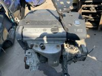 VW Polo 6N / Seat Ibiza 1.6 Benzin  Austauschmotor Motor Nordrhein-Westfalen - Lippstadt Vorschau