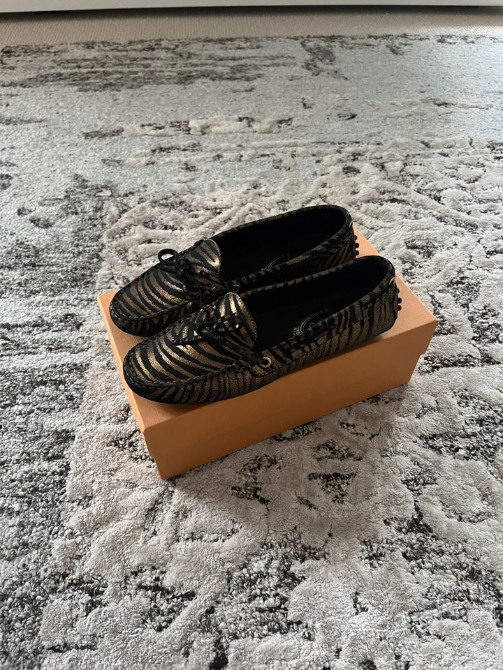 Tods Schuhe, loafer, Gr. 37 in Leer (Ostfriesland)