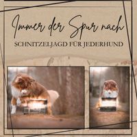 Schnitzeljagd für JEDERHUND / Hundeschule Niedersachsen - Großheide Vorschau
