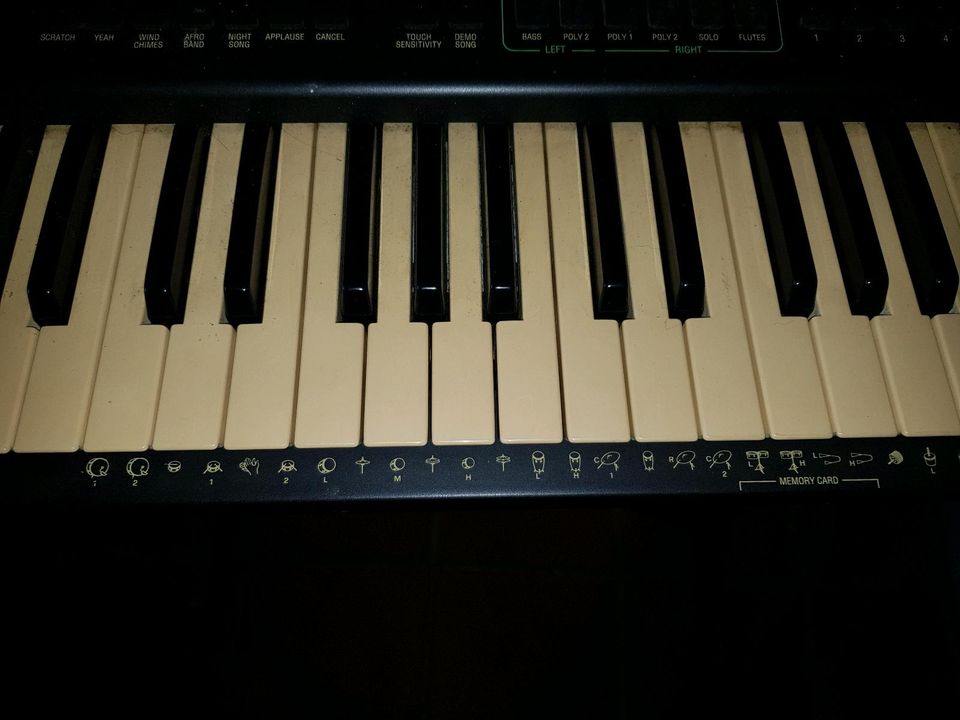 Keyboard von Orla in Espelkamp