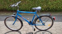 Trekkingfahrrad Herrenfahrrad Fahrrad Konbike Tig Oversize 28" Bayern - Cham Vorschau