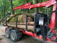 VERMIETUNG !!!! Rückewagen, Stepa, Palfinger 12 t Baden-Württemberg - Eberbach Vorschau