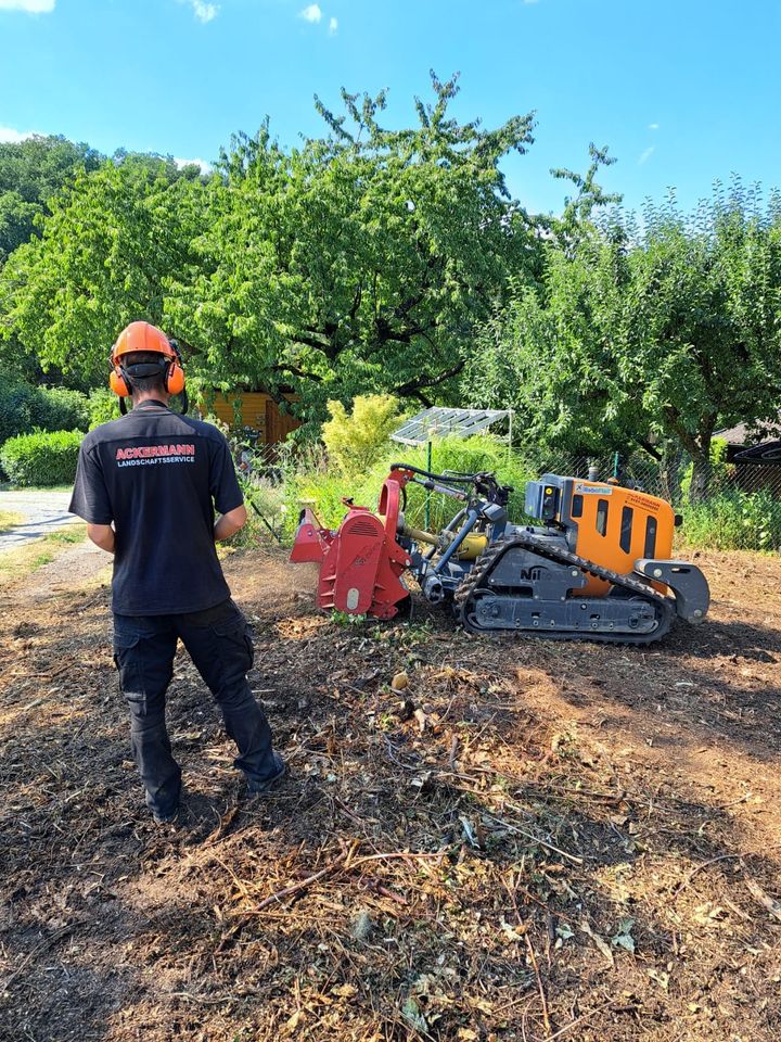 Forstmulchen Forstfräsen Mulchen Rodung Mulchraupe in Weinsberg