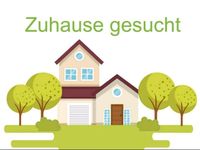 Junges berufstätiges Paar sucht Haus zur Miete Nordrhein-Westfalen - Coesfeld Vorschau