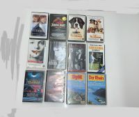 VHS-Kassetten, Titanic, Jurassic Park, Die Firma, u.a. Niedersachsen - Burgdorf Vorschau