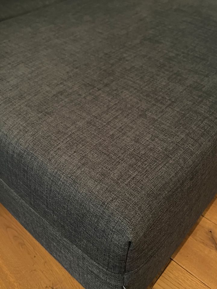 Freistil Rolf Benz - Sofa / Couch 147 in Düsseldorf