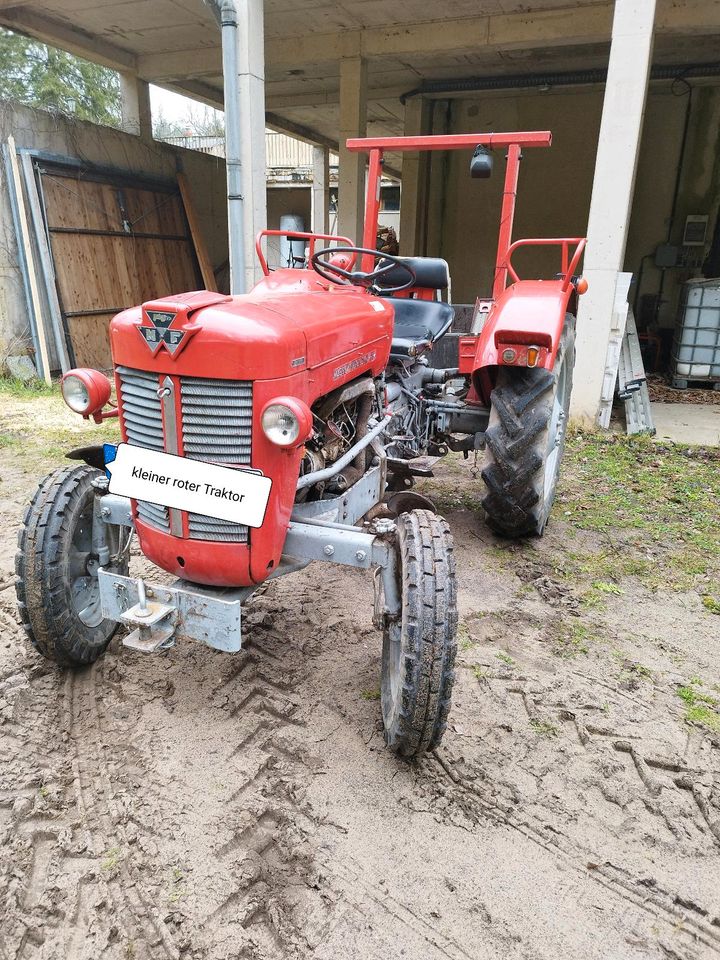 Massey Ferguson /MF25 in Zechlinerhütte