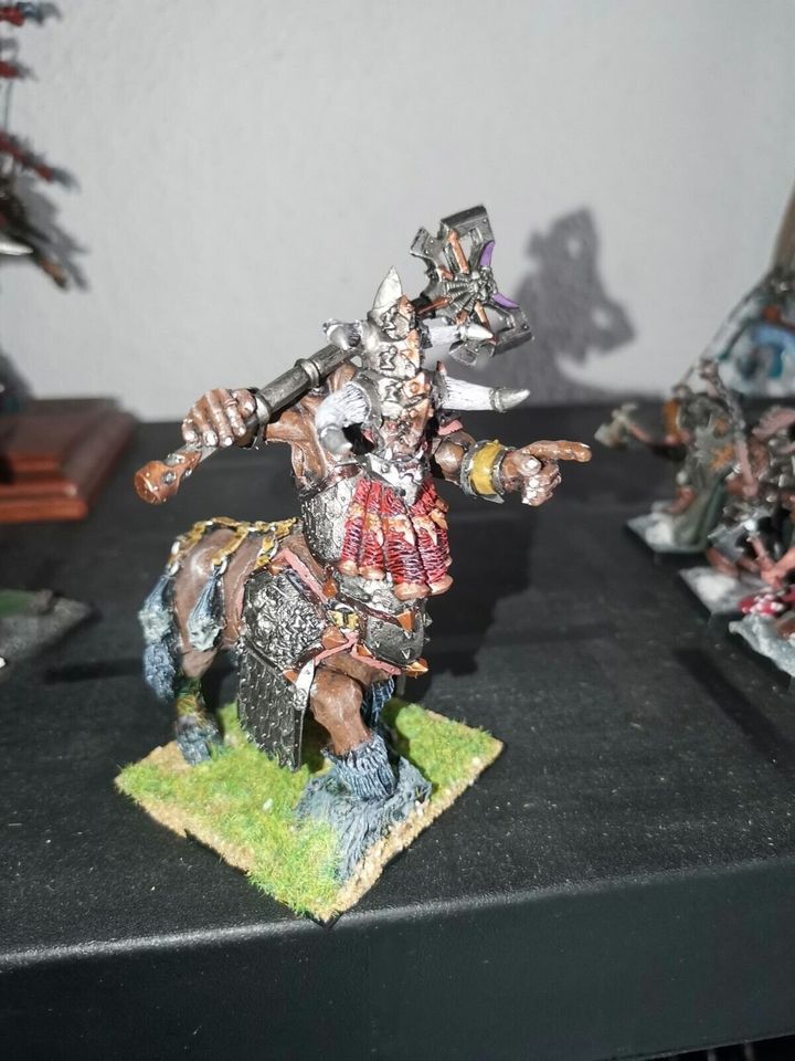 Warhammer Fantasy AoS Forgeworld Bull Centaur Taur 'ruk PRO PAINT in Wilhelmshaven
