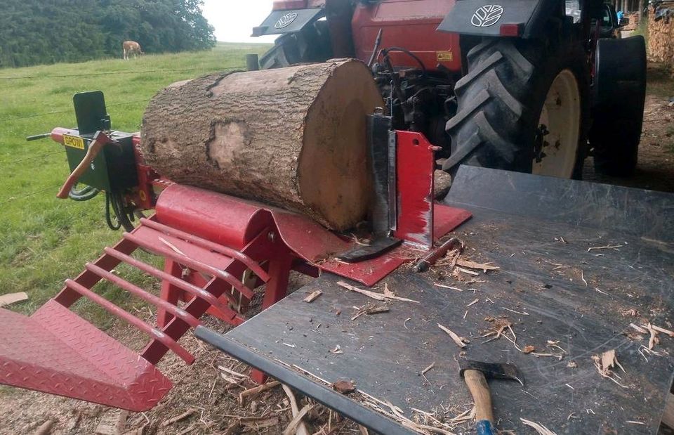 Ganze Kipp Anhänger Lieferung Kaminholz/Hartholz Brennholz in Memmingen