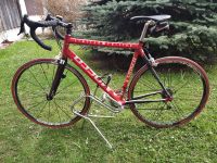 Rennrad F.Moser Limited Edition Bayern - Pfronten Vorschau