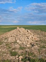 Feldsteine abzugeben Sachsen - Helbigsdorf Vorschau