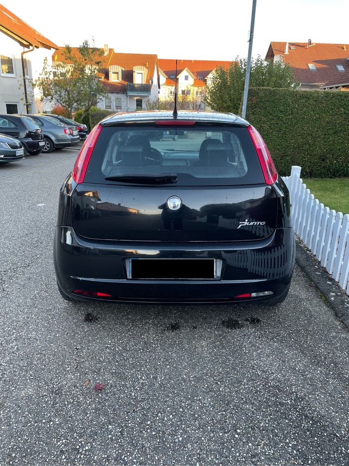 Fiat Punto 1.3 Multijet 16V Diesel 6 Gang in Eppingen