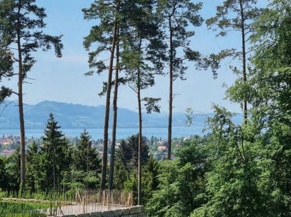 KfW40+ Doppelhaushälfte mit Seeblick! in Lindau