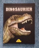 Buch Dinosaurier Schleswig-Holstein - Schacht-Audorf Vorschau