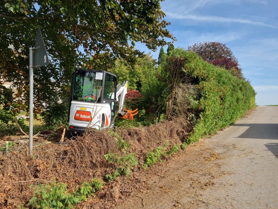 Heckenentfernung und Heckenschnitt in Neusäß