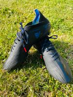 Adidas Fußballschuhe Soeedflow J Größe 42 1/2 schwarz Rheinland-Pfalz - Flonheim Vorschau