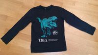 T-shirt T-Rex , Gr. 140/146 Bayern - Baldham Vorschau