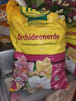 Orchideenerde, Kakteenerde, Bonsaierde Neu/OVP Leipzig - Schönefeld Vorschau