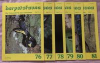 Herpetofauna 1992 Zeitschrift Amphibien Reptilien Brandenburg - Teltow Vorschau