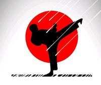 Selbstverteidigung Karate Kampfsport Nordrhein-Westfalen - Bad Oeynhausen Vorschau