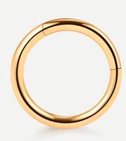 Echt Gold Helix Piercing Ring Creole 10mmx12mm Schleswig-Holstein - Flensburg Vorschau