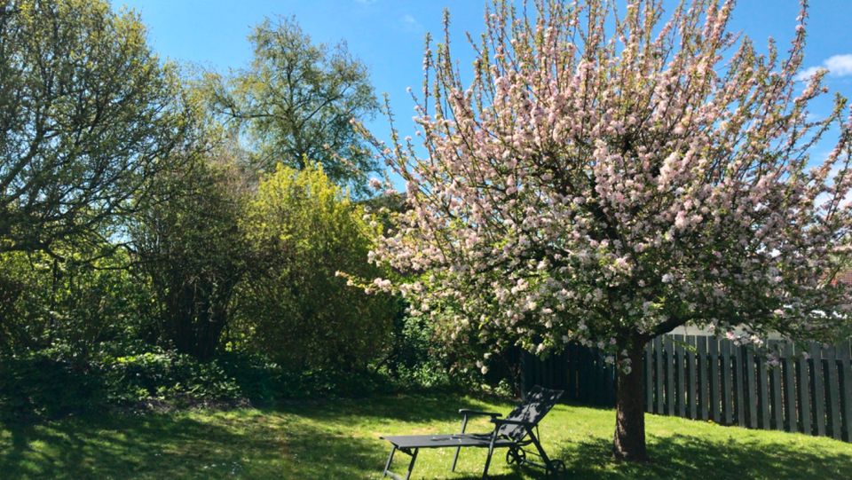 Urlaub Ferienhaus mit Garten in Ostfriesland an der Nordseeküste in Dornum