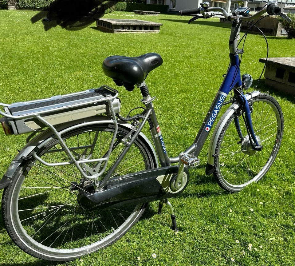 Pegasus E-Bike in München