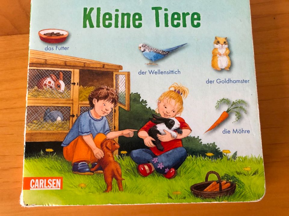 Kinderbuch Kleine Tiere Bilder sehen Wörter lernen Carlsen Verlag in Detmold