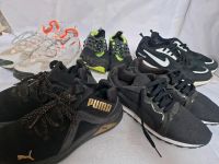 5 paar Schuhen Nike Pro Air Sneaker Puma Nike ZM Nordrhein-Westfalen - Lennestadt Vorschau