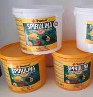 Tropical Spirulina Super Forte 36% 5 Liter Eimer Niedersachsen - Duingen Vorschau