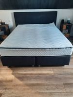 Box-Spring-Bett 1,60 x 2,00m gebraucht Bayern - Langerringen Vorschau