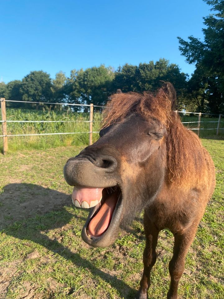 Kindergeburtstag, einen Tag als Tierpfleger in Buchholz in der Nordheide