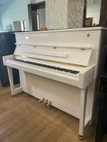 SCHIMMEL Klavier Modell Fridolin F 116 Tradition weiss poliert - kurz gebraucht - wie neu! Nordrhein-Westfalen - Detmold Vorschau