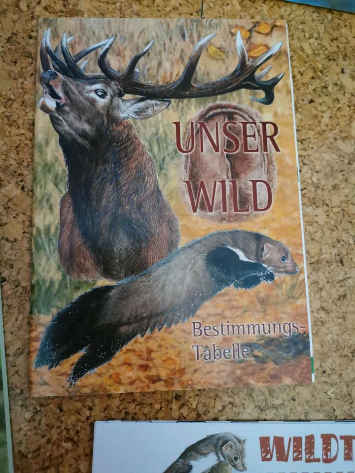 Unsere Wildtiere in Hutthurm