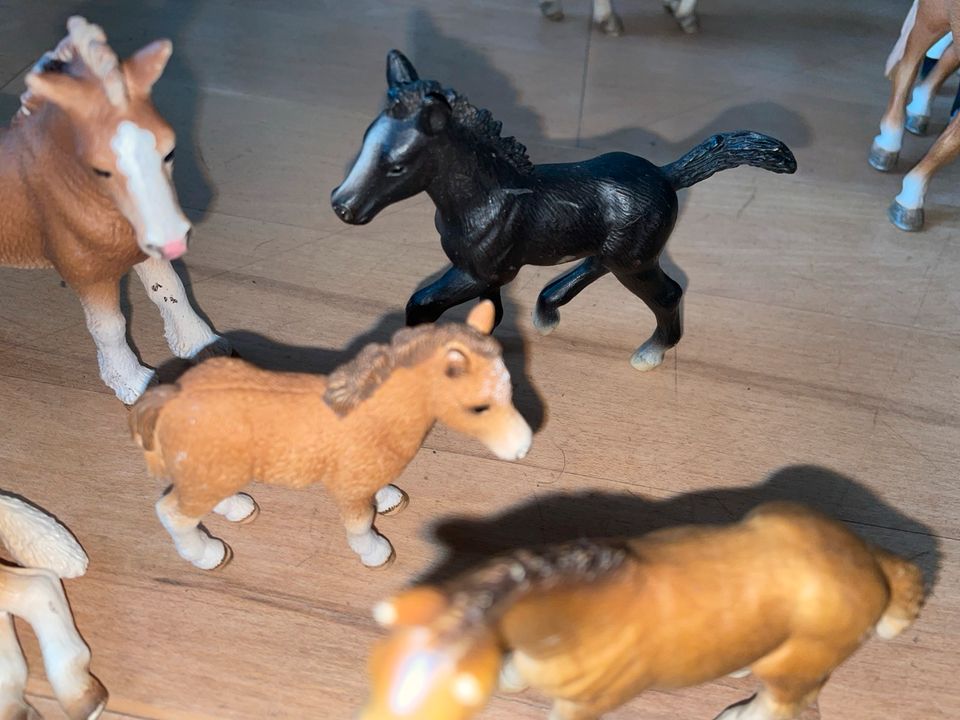 6 Schleich Pferde Fohlen in Lützelbach