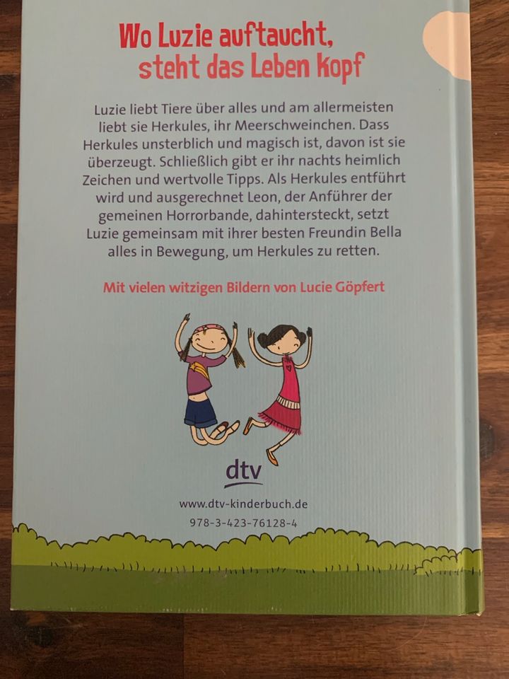 Buch: Anna Lott - Luzies verrückte Welt in Illingen