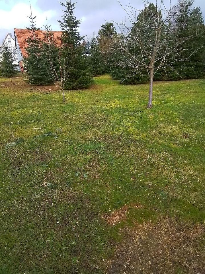 Ein Haus bei dem weniger wirklich mehr ist in Eschwege OT Oberdünzebach – Fläche optimal nutzen in Eschwege